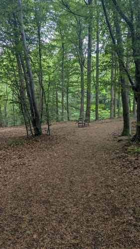 Dalbekschlucht