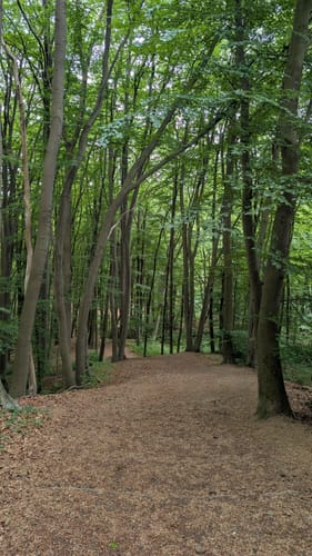 Dalbekschlucht