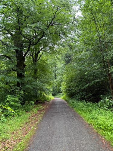 [A5] - Rundwanderweg des Verkehrs- und Verschönerungsvereins Marburg