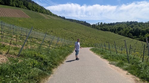Weingut Schloß Ortenberg Rundweg