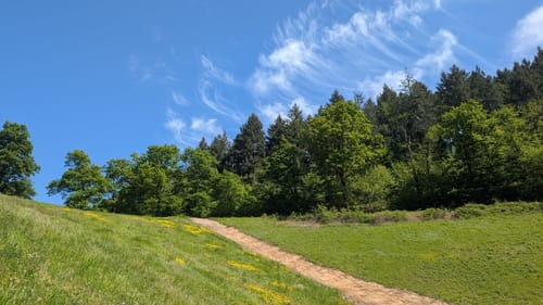Weingut Schloß Ortenberg Rundweg