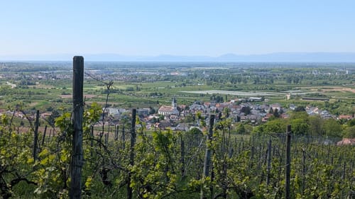 Weingut Schloß Ortenberg Rundweg