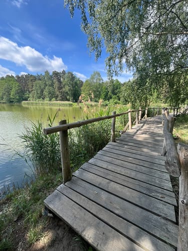 Königsbrücker Heide