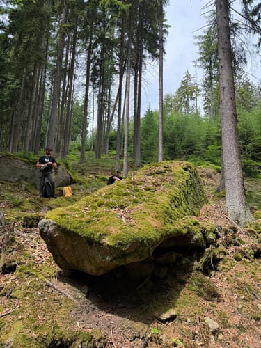 Trettmanns - Ruine Weißenstein - Platte - Köhlerlohe