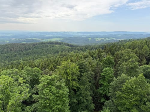 Trettmanns - Ruine Weißenstein - Platte - Köhlerlohe