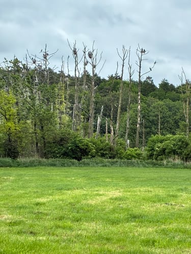 Naturlehrpfad Nonnensee