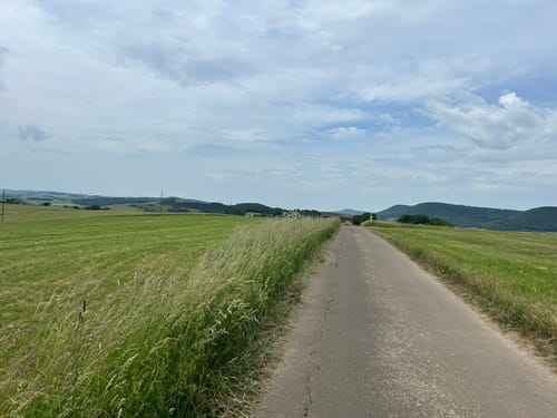 Rund um Burg Lichtenberg