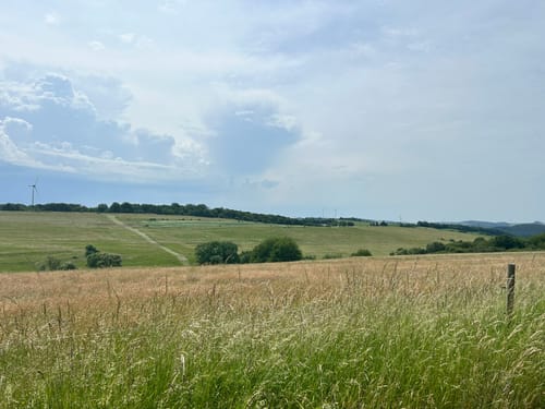Rund um Burg Lichtenberg