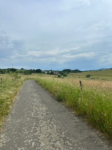 Rund um Burg Lichtenberg