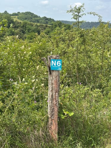 Von Windhof auf dem Orchideenweg