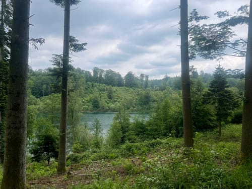 Lantenbach Rundweg A4