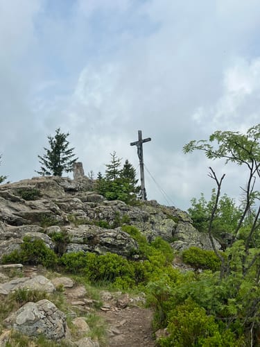 Schneeschuh-Tour: Oberfrauenau-Rachel