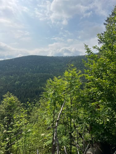 Schneeschuh-Tour: Oberfrauenau-Rachel