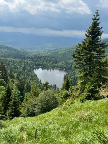 Schneeschuh-Tour: Oberfrauenau-Rachel