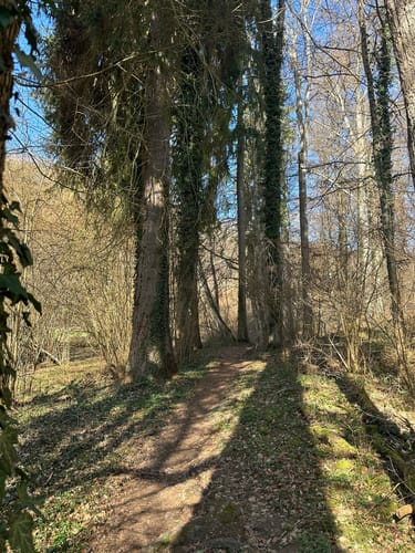 Pyrmonter Felsensteig (Traumpfad)