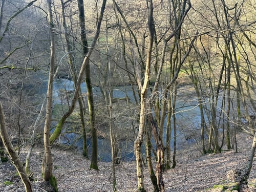 Pyrmonter Felsensteig (Traumpfad)