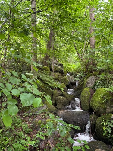 Entlang der Gaishöll Wasserfälle
