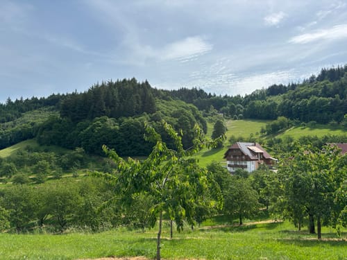 Renchtalsteig - Etappe 5: Allerheiligen - Burgruine Schauenburg