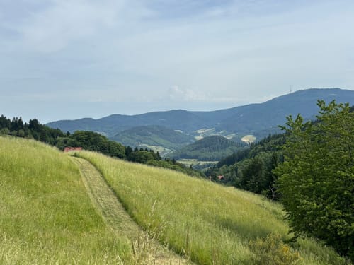 Renchtalsteig - Etappe 5: Allerheiligen - Burgruine Schauenburg