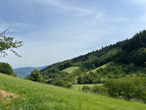 Renchtalsteig - Etappe 5: Allerheiligen - Burgruine Schauenburg