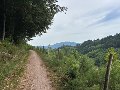 Renchtalsteig - Etappe 5: Allerheiligen - Burgruine Schauenburg