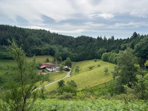 Renchtalsteig - Etappe 5: Allerheiligen - Burgruine Schauenburg