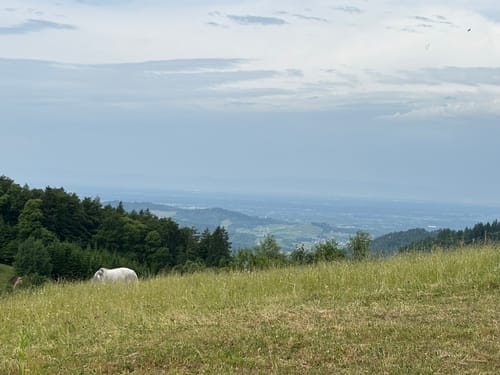Renchtalsteig - Etappe 5: Allerheiligen - Burgruine Schauenburg