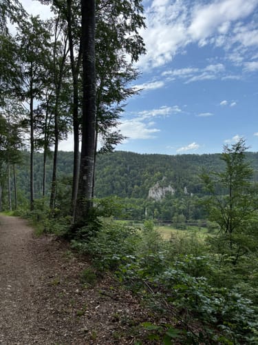Beuron Trail (Premiumwanderweg)