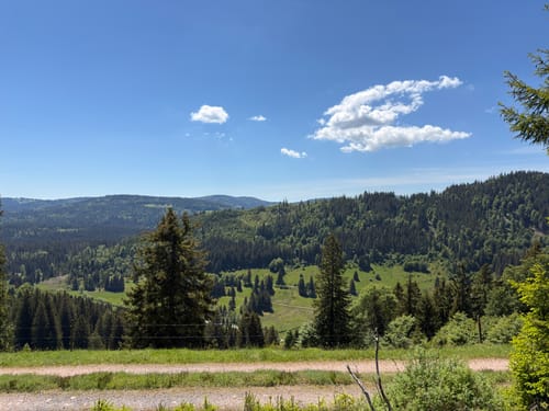 Rund um den Steppenberg