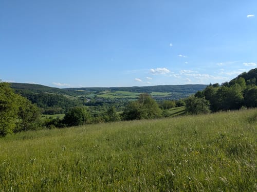 Apollinaris-Schleife (Premiumwanderweg)