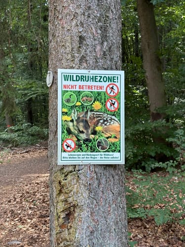 Von Schopp zur Traubeneiche
