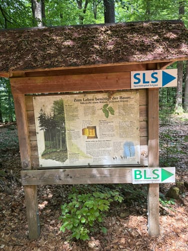 Von Schopp zur Traubeneiche