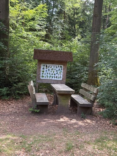 Von Schopp zur Traubeneiche