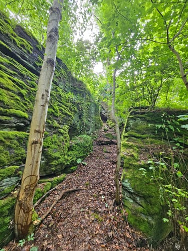 Finsterbergen Rundweg