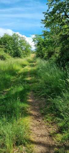 Litermont Sagenweg (Traumschleife)