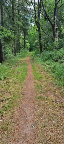 Litermont Sagenweg (Traumschleife)