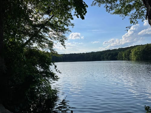 Schlachtensee-Runde