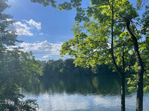 Schlachtensee-Runde