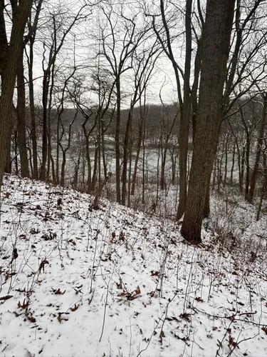 Best forest trails in Cheesequake State Park | AllTrails