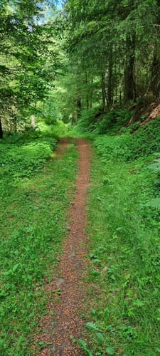 Litermont Sagenweg (Traumschleife)