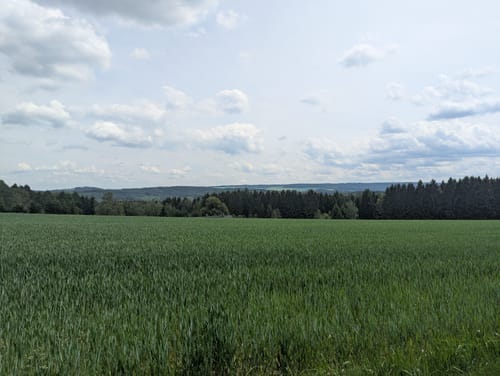 Rundweg Thalheim R