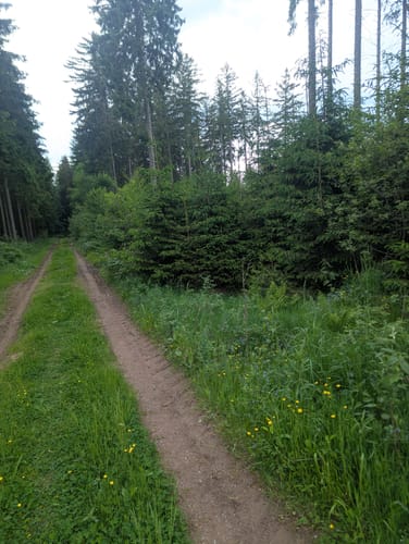 Rundweg Thalheim R