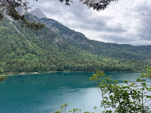 Alpsee Rundweg