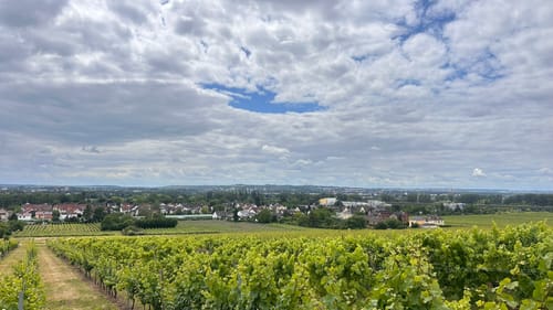 Rund um Hochheim