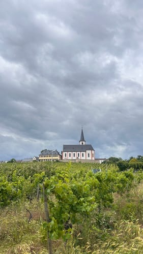 Rund um Hochheim