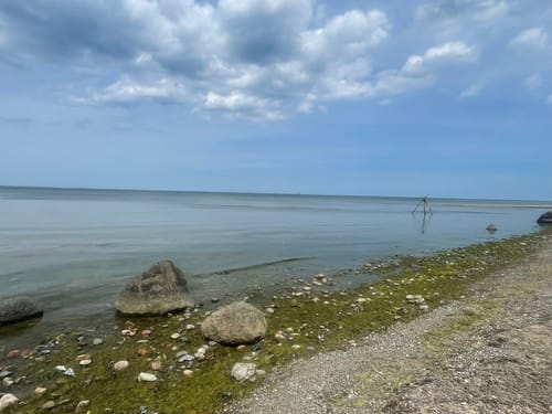 MTB Tour: Priwall - Boltenhagen