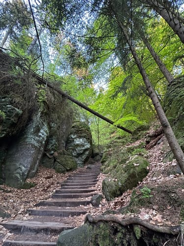 Lohmen: Über die Schwedenlöcher nach Kurort Rathen zur Bastei [CLOSED]