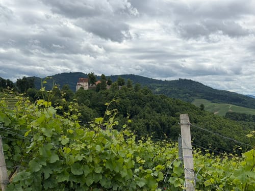 Ortenauer Weinpfad Etappe 5: Oberkirch - Zell-Weierbach