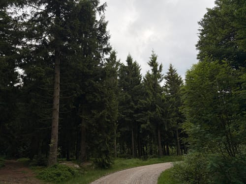 Geißkopf-Tour