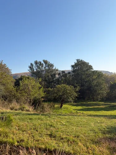 Best forest trails in Suikerbosrand Nature Reserve | AllTrails